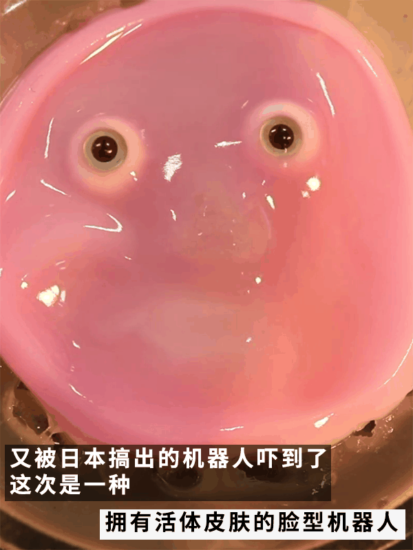 还得是日本！给机器人做了一张“人皮”：这鬼畜微笑过于瘆人