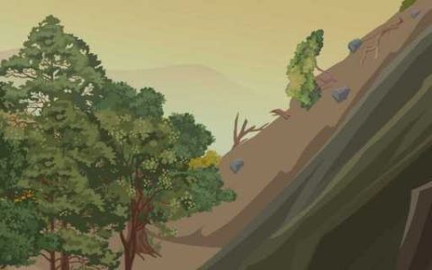 发生滑坡时应该如何应对 山体滑坡发生时向哪边跑最安全