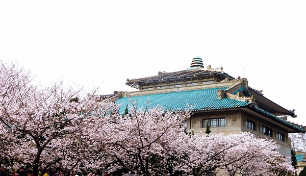 武大雷军班投档线直逼清北:湖北本省录取平均分超681分插图 武大雷军班投档线直逼清北:湖北本省录取平均分超681分