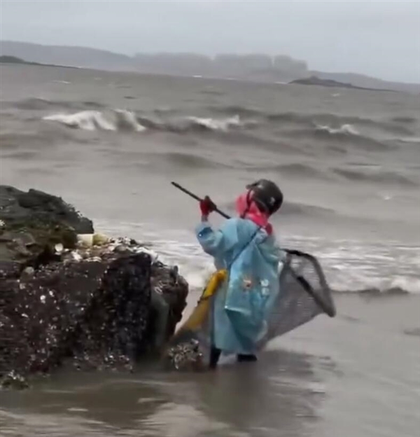 台风后生蚝遍地市民组团赶海:不建议盲目参与插图1 台风后生蚝遍地市民组团赶海:不建议盲目参与