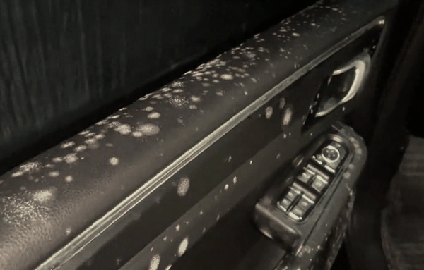 遇梅雨停地库半月没开保时捷发霉 车主自嘲:不想要了插图3 遇梅雨停地库半月没开保时捷发霉 车主自嘲:不想要了