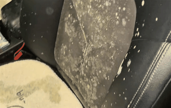 遇梅雨停地库半月没开保时捷发霉 车主自嘲:不想要了插图2 遇梅雨停地库半月没开保时捷发霉 车主自嘲:不想要了