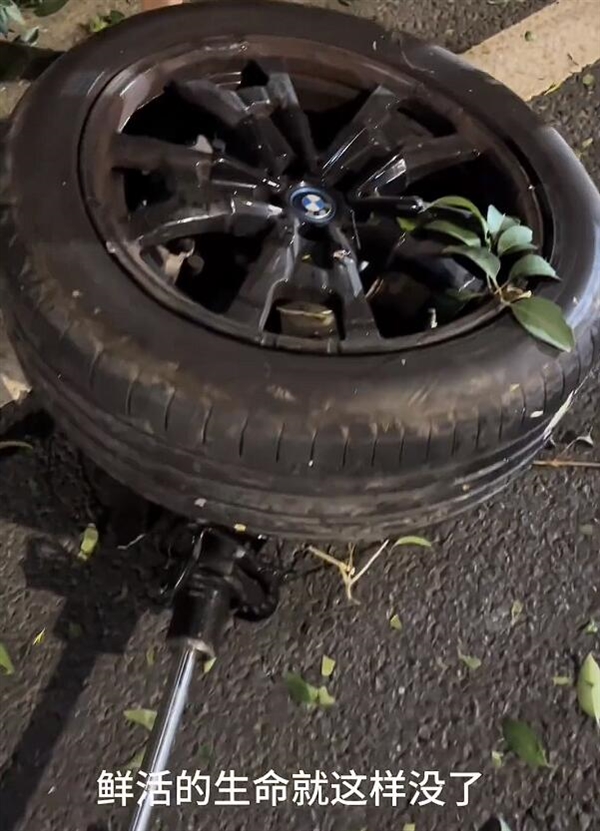 一辆宝马电车撞高速出口安全岛后起火:有人员遗憾未被救出插图2 一辆宝马电车撞高速出口安全岛后起火:有人员遗憾未被救出