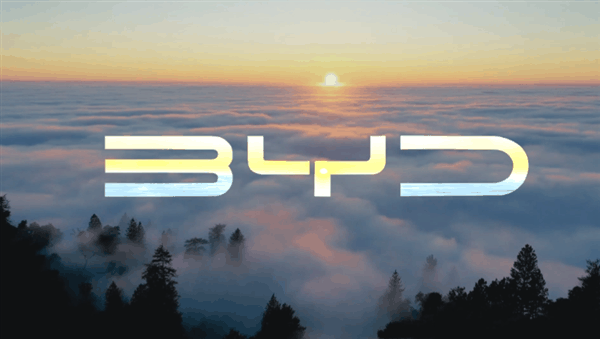 比亚迪奖励21位线索提供人：初步奖励最高30万元