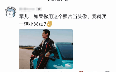 给雷军画饼成功第一人！网友喊话换头像就买小米SU7 雷军真听劝