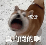 熬夜仙人？越南大姐30年不睡觉！但还有更夸张的…