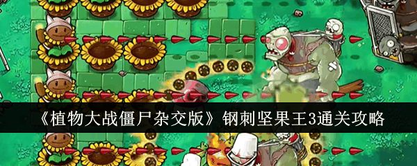 《植物大战僵尸杂交版》钢刺坚果王3通关攻略插图 《植物大战僵尸杂交版》钢刺坚果王3通关攻略