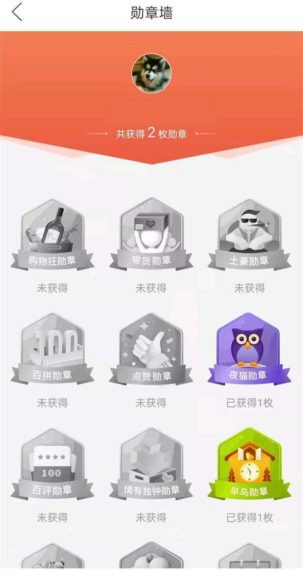 拼多多勋章墙在哪里查看 拼多多查询获得勋章教程插图3 拼多多勋章墙在哪里查看 拼多多查询获得勋章教程