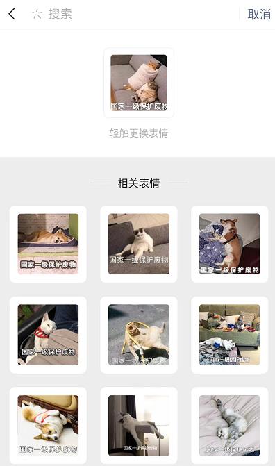 微信怎么用表情包搜索表情 微信用表情包搜索表情教程插图3 微信怎么用表情包搜索表情 微信用表情包搜索表情教程