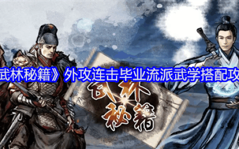 《武林秘籍》外攻连击毕业流派武学搭配攻略