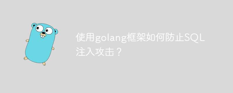 使用golang框架如何防止SQL注入攻击?插图 使用golang框架如何防止SQL注入攻击?