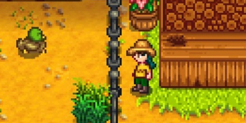 星露谷物语文森特在哪