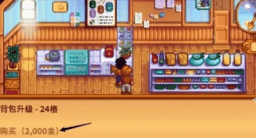 星露谷物语背包格子怎么增加