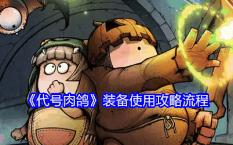 《代号肉鸽》装备使用攻略流程