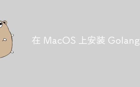 在 MacOS 上安装 Golang