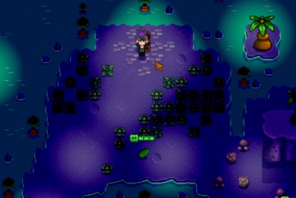 《星露谷物语》女巫小屋位置一览插图1 《星露谷物语》女巫小屋位置一览