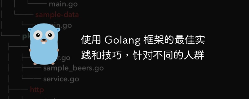 使用 Golang 框架的最佳实践和技巧,针对不同的人群插图 使用 Golang 框架的最佳实践和技巧,针对不同的人群