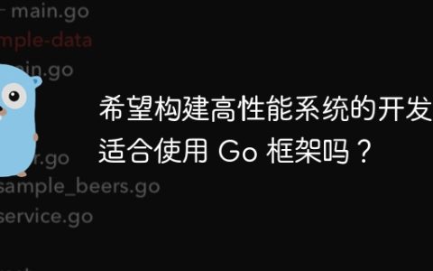 希望构建高性能系统的开发者适合使用 Go 框架吗？