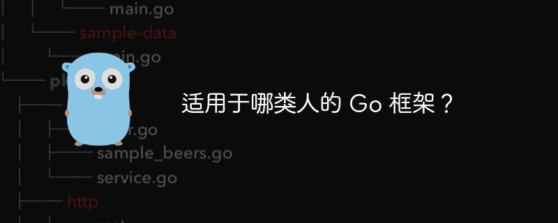 适用于哪类人的 Go 框架？
