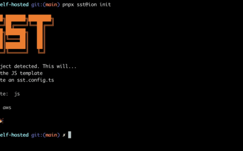 如何使用 SST 和 Docker 将 Nextjs 应用程序部署到 Hetzner VPS