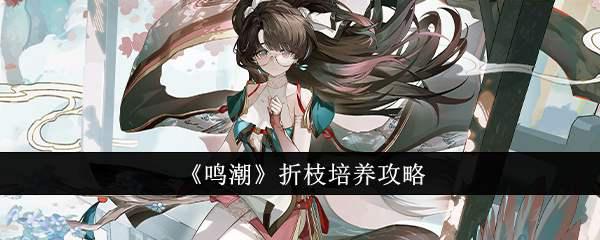 《鸣潮》折枝培养攻略插图 《鸣潮》折枝培养攻略