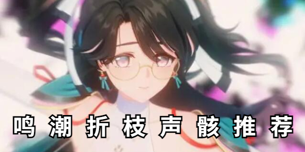 《鸣潮》折枝声骸带什么