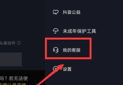 抖音退款如何客服介入 抖音退款客服介入方法插图2 抖音退款如何客服介入 抖音退款客服介入方法