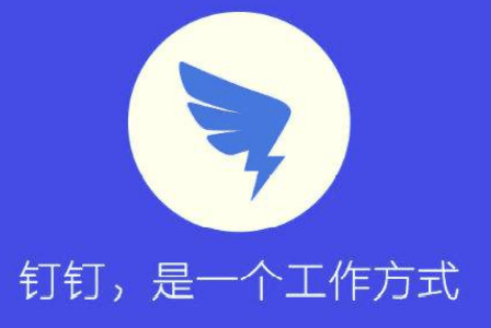 钉钉文档翻译在哪 手机钉钉翻译文本操作一览