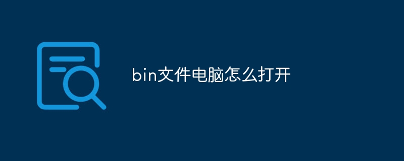 bin文件电脑怎么打开