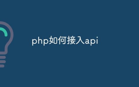 php如何接入api
