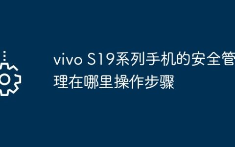 vivo S19系列手机的安全管理在哪里操作步骤