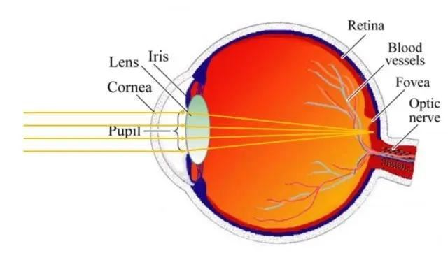 谁是客厅投影仪天花板? 极米RS10 Plus和当贝X5S Pro对比测评插图5 谁是客厅投影仪天花板? 极米RS10 Plus和当贝X5S Pro对比测评插图5