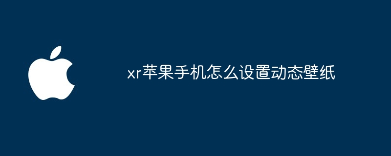 xr苹果手机怎么设置动态壁纸