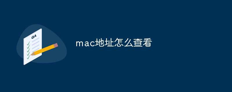 mac地址怎么查看插图 mac地址怎么查看