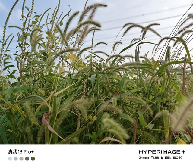 真我13Pro+体验怎么样 真我13Pro+体验评测插图7