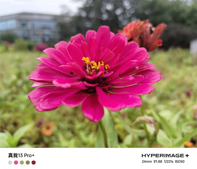 真我13Pro+体验怎么样 真我13Pro+体验评测插图8