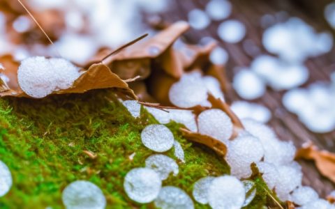 强对流天气预警：安徽重庆局地将遭8至10级雷暴大风及冰雹袭击