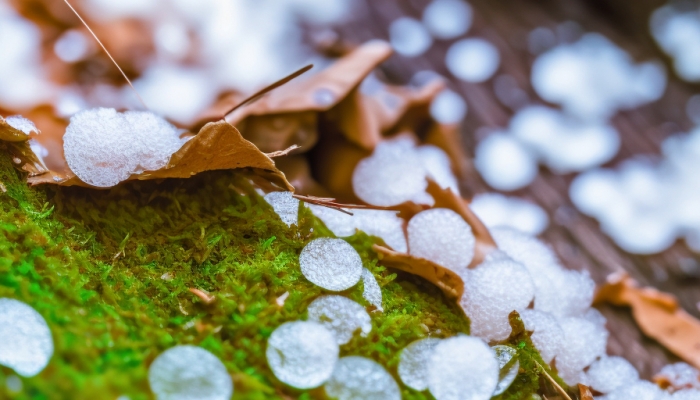 强对流天气预警:安徽重庆局地将遭8至10级雷暴大风及冰雹袭击插图 强对流天气预警:安徽重庆局地将遭8至10级雷暴大风及冰雹袭击