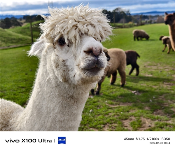 vivo X100 Ultra上手:今年最全能的影像灭霸旗舰插图2 vivo X100 Ultra上手:今年最全能的影像灭霸旗舰