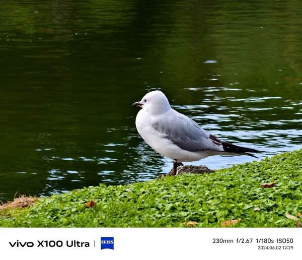 vivo X100 Ultra上手:今年最全能的影像灭霸旗舰插图 vivo X100 Ultra上手:今年最全能的影像灭霸旗舰