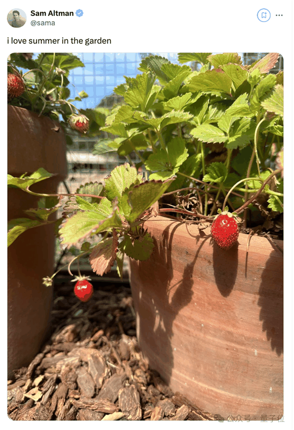 奥特曼晒“草莓”引热议 神秘新模型现身竞技场 网友第一波实测来了