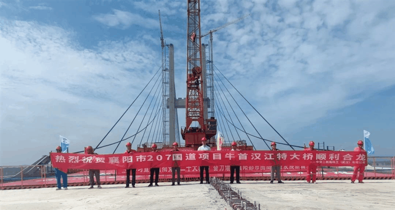 我国最大跨径无辅助墩组合梁独塔斜拉桥合龙：全长4454米、主塔高201米