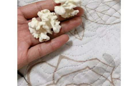 新上市！秋初才有的鲜美果子 错过真的太太太遗憾了