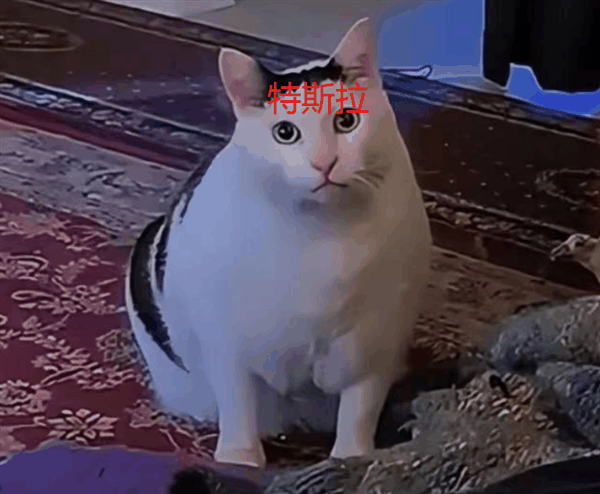 偷X数据 用特斯拉显卡 马斯克把AI炼成啥样了?插图17 偷数据 用特斯拉显卡 马斯克把AI炼成啥样了?