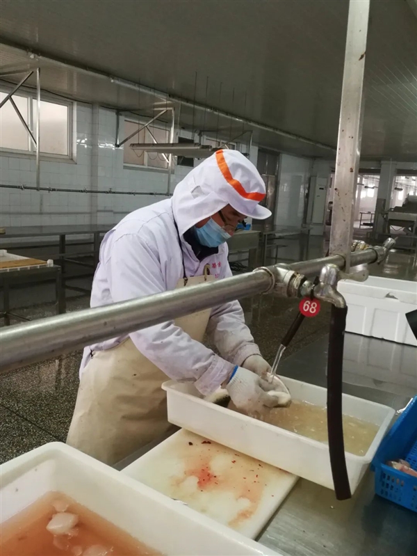 河北唐山养河豚:竟然干到了全国第一!插图4 河北唐山养河豚:竟然干到了全国第一!