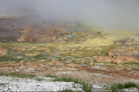 厨房里有个“细菌窝”:很多人都没洗过插图4 厨房里有个“细菌窝”:很多人都没洗过