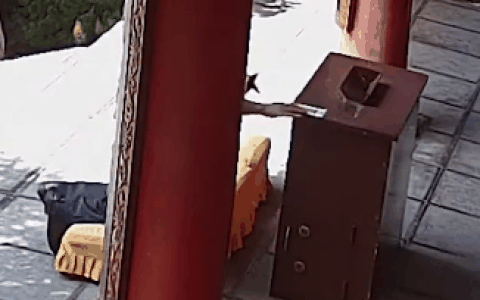 名校法学硕士替换功德箱二维码 盗3万多被抓