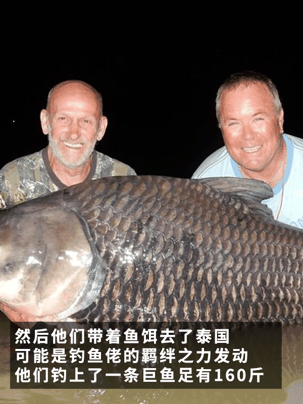 拿朋友骨灰当鱼饵：竟然真钓到了160斤的巨型鱼！