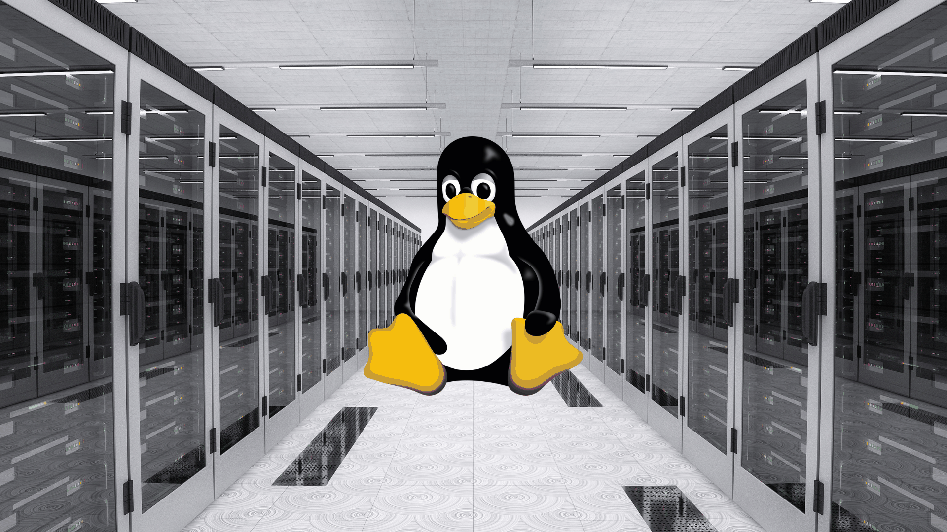 Linux Server Linux 服务器