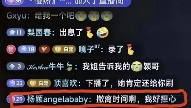Angelababy“从政”,再见已是杨主任插图15 图片